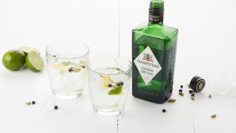 Cocktail au gin aux agrumes